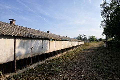 Farm i Beniganim, Valencia, Beniganim - € 67.000 | Ref: PNPT301 - foto 7
